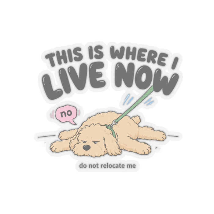 This Is Where I Live Now Sticker